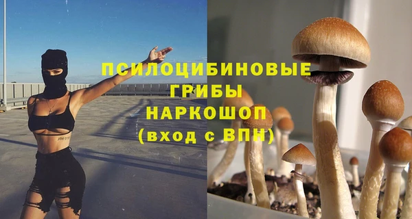 ALPHA PVP Россошь