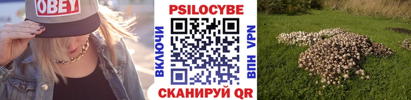 Псилоцибиновые грибы Magic Shrooms  купить наркотик  hydra ССЫЛКА  Вилюйск 